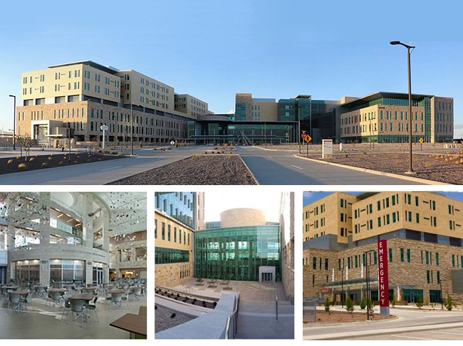 New Hospital Image collage
