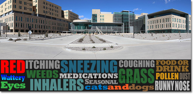 New hospital panoramic view and allergy word graphic